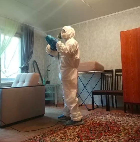 дезинсекция квартиры в Поварово